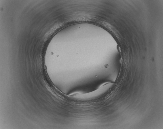 X0000078270677200612011720