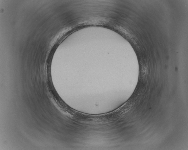 X0000078270678200612011720