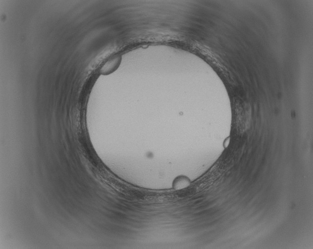 X0000078270679200612011720