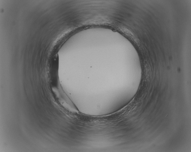 X0000078270680200612011720