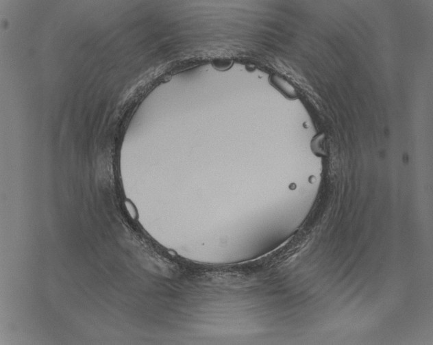 X0000078270681200612011720