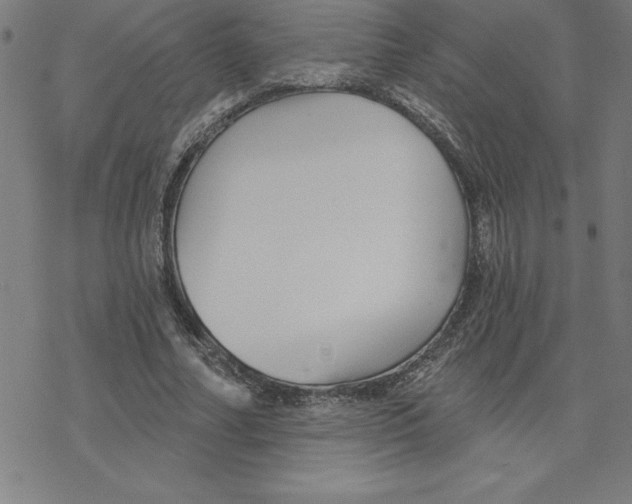 X0000078270682200612011720