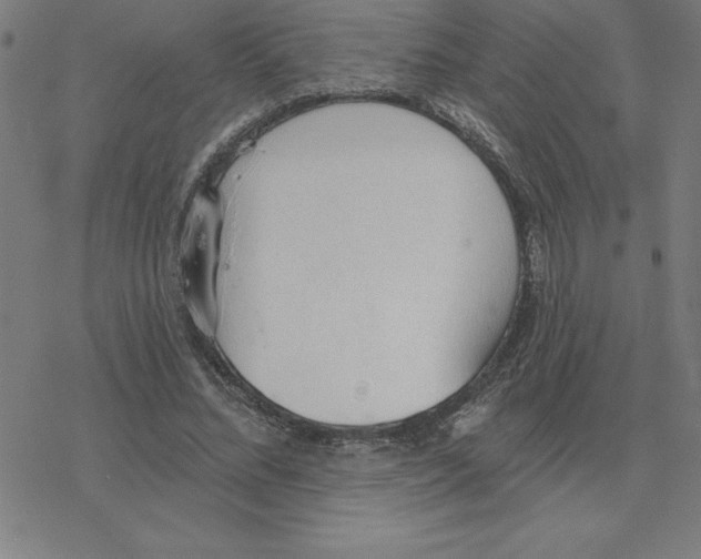 X0000078270684200612011720