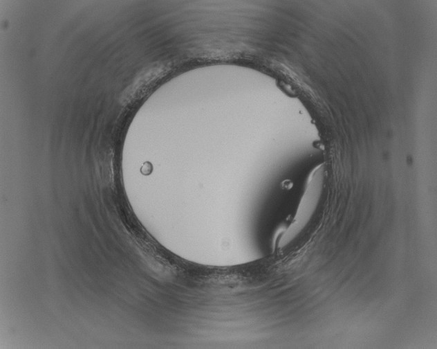 X0000078270685200612011720