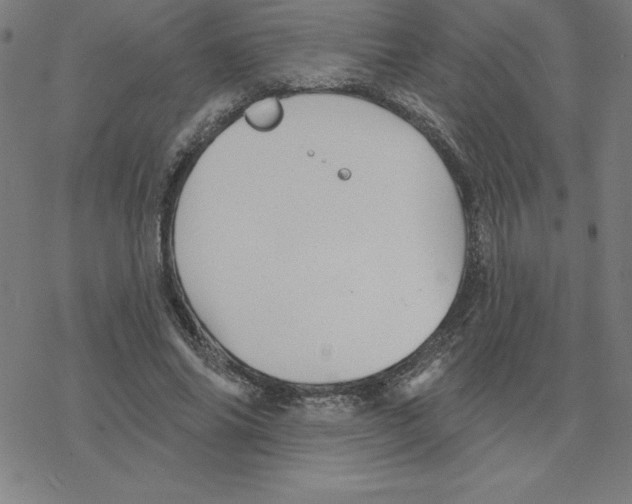 X0000078270686200612011720