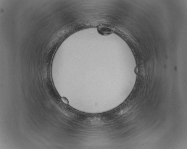 X0000078270687200612011720