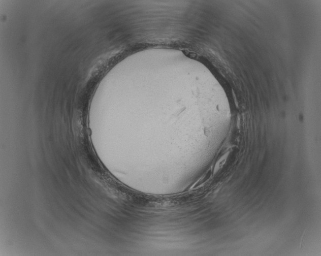 X0000078270688200612011720