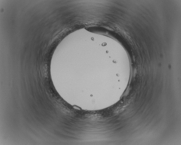 X0000078270689200612011720