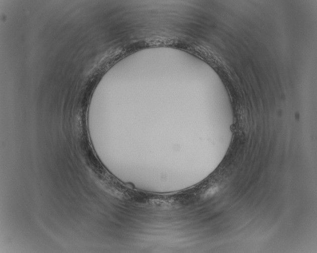 X0000078270690200612011720