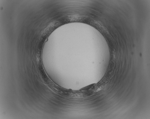 X0000078270691200612011720