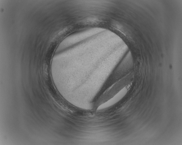 X0000078270692200612011720