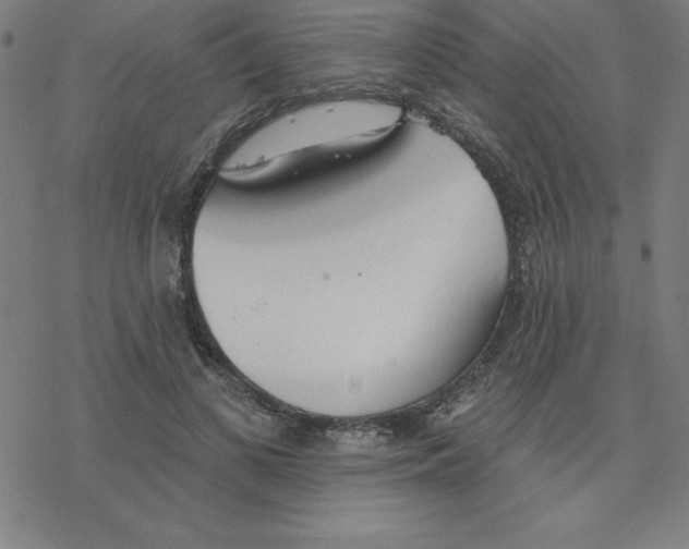 X0000078270693200612011720