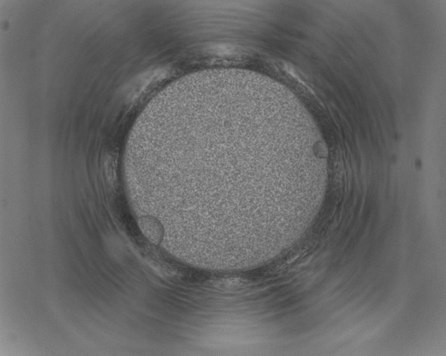 X0000078270695200612011720