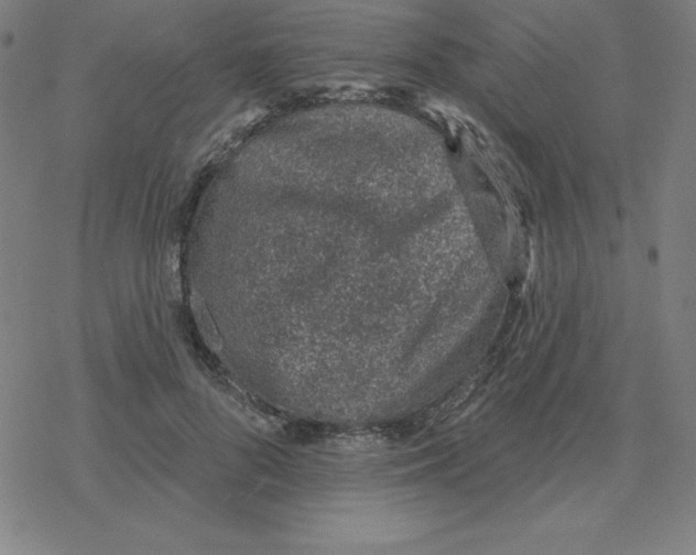 X0000078270696200612011720