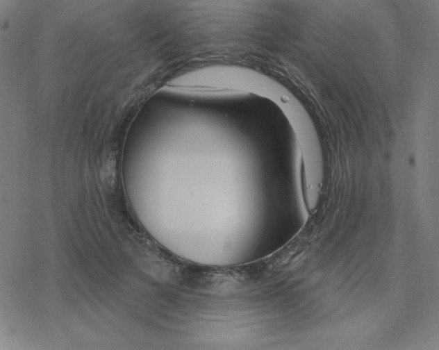 X0000078270697200612011720