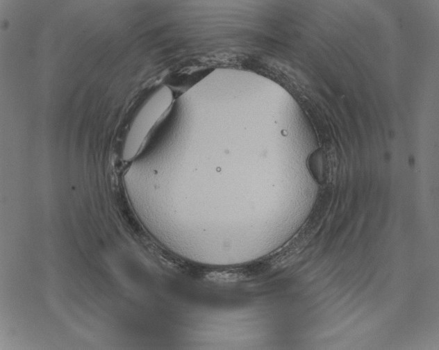 X0000078270699200612011719