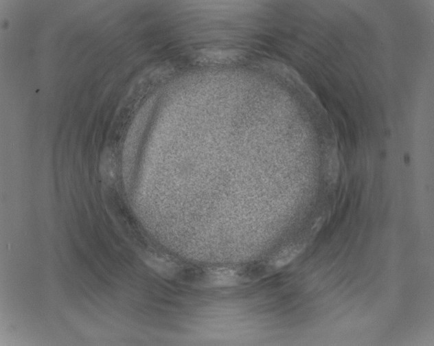 X0000078270701200612011719