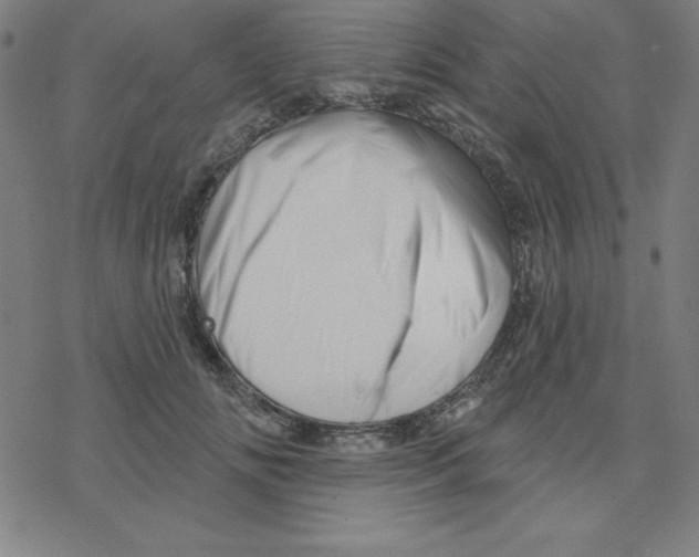 X0000078270702200612011719