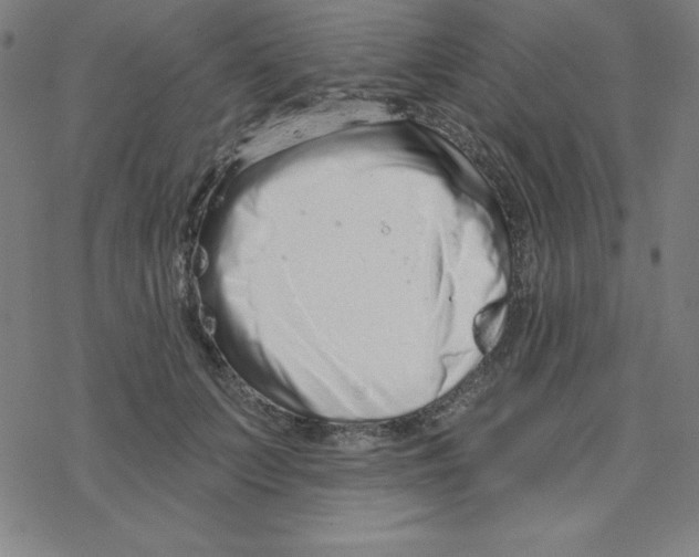 X0000078270703200612011719