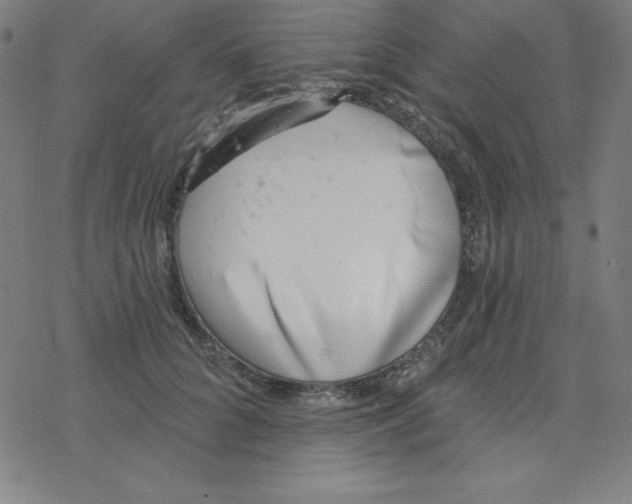 X0000078270704200612011719