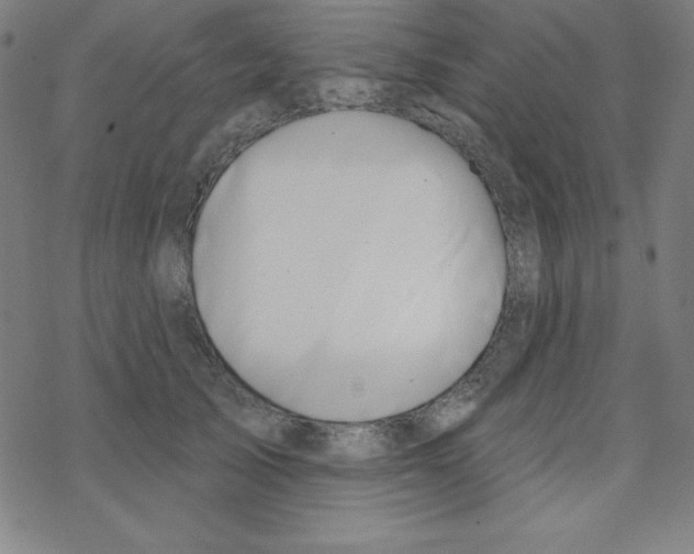 X0000078270705200612011719