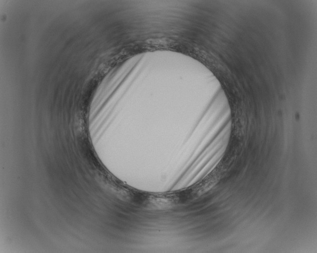 X0000078270706200612011719