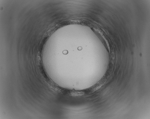 X0000078270707200612011719