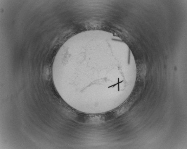 X0000078270709200612011719