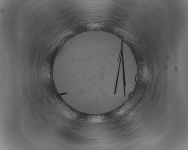 X0000078270710200612011719