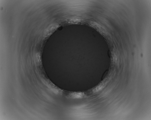 X0000078270711200612011719