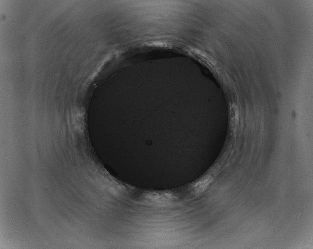 X0000078270712200612011719