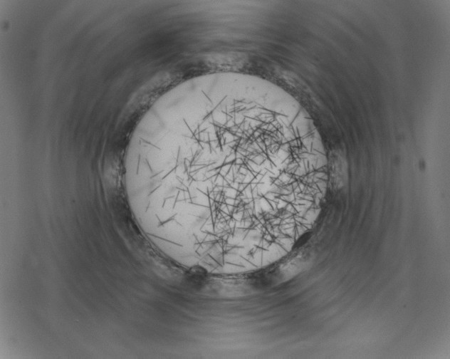 X0000078270713200612011719