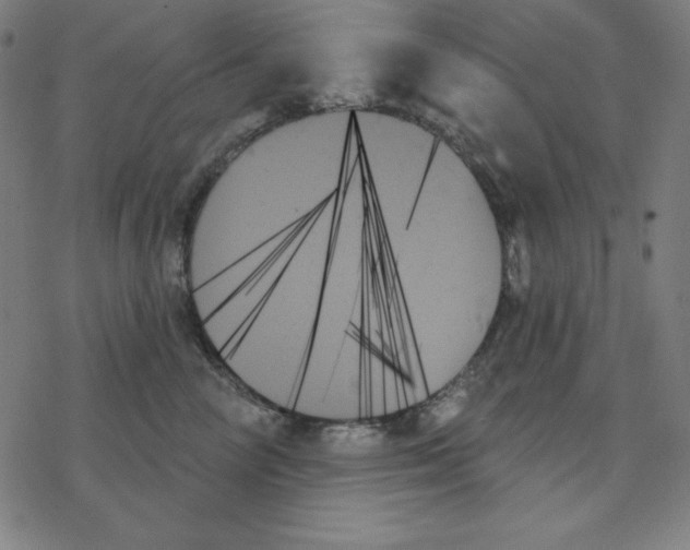 X0000078270714200612011719