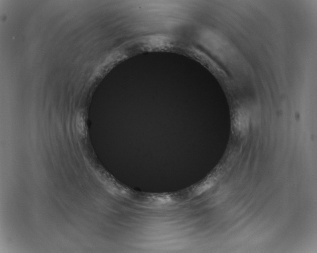 X0000078270715200612011719