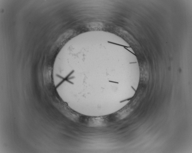 X0000078270717200612011719