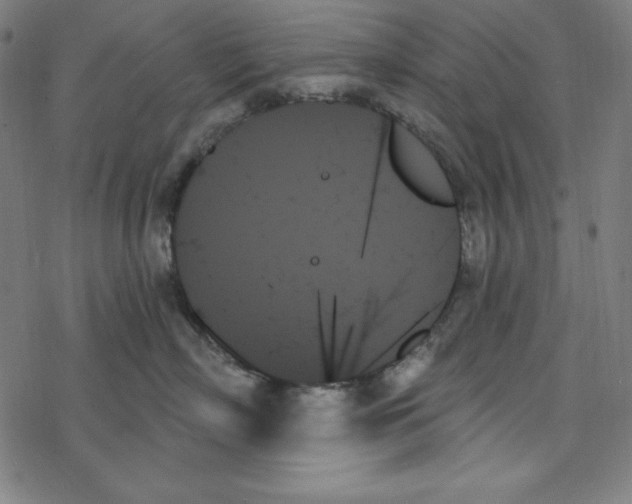 X0000078270718200612011719