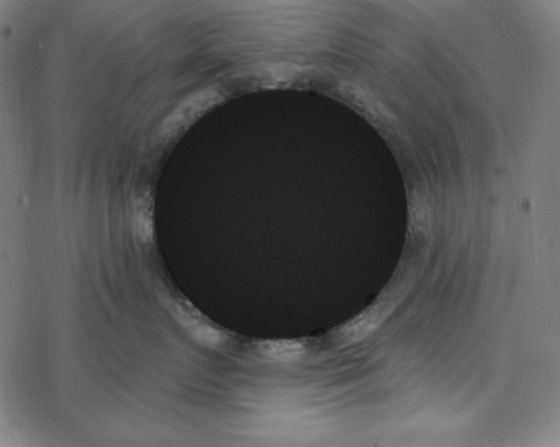 X0000078270719200612011719