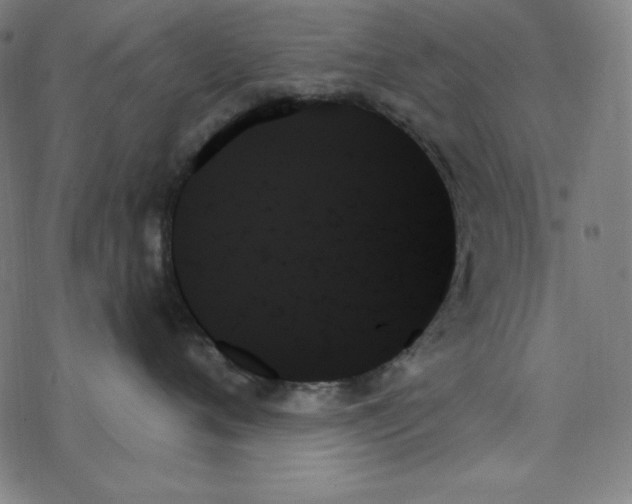 X0000078270720200612011719