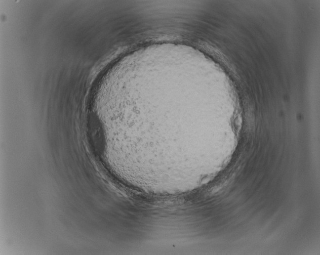 X0000078270721200612011718