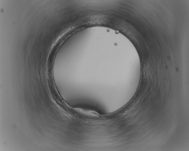 X0000078270722200612011718