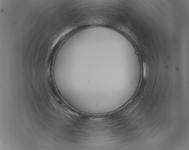 X0000078270723200612011718