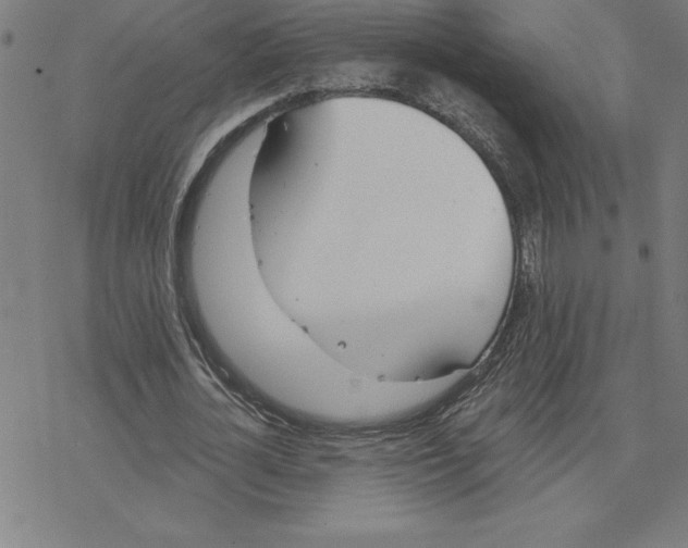 X0000078270724200612011718