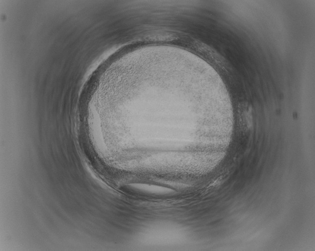 X0000078270726200612011718