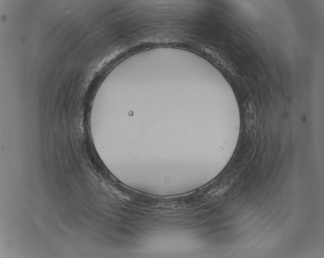 X0000078270727200612011718