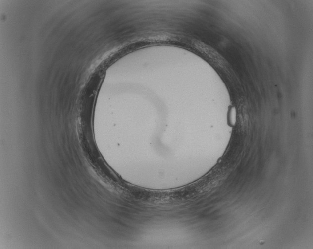 X0000078270728200612011718