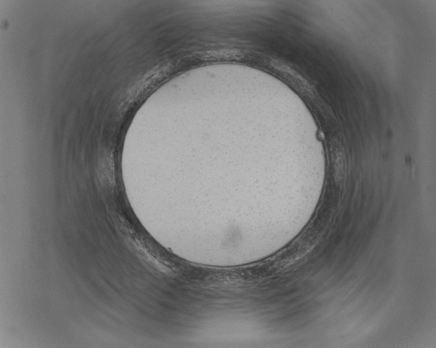 X0000078270729200612011718