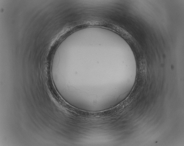 X0000078270730200612011718