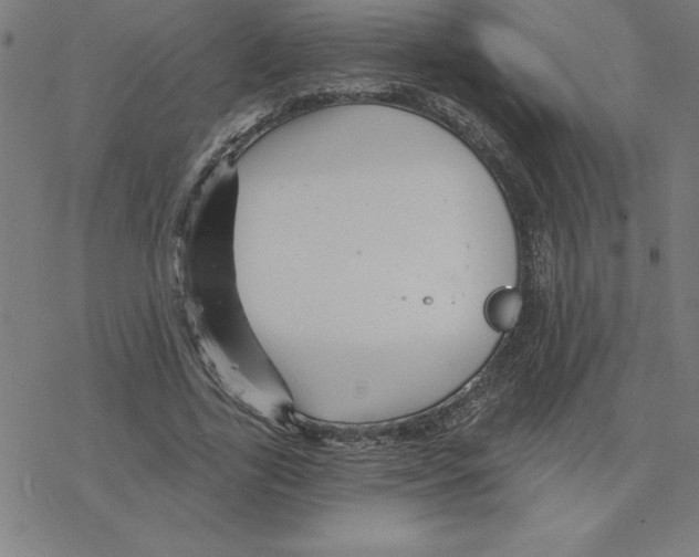 X0000078270731200612011719