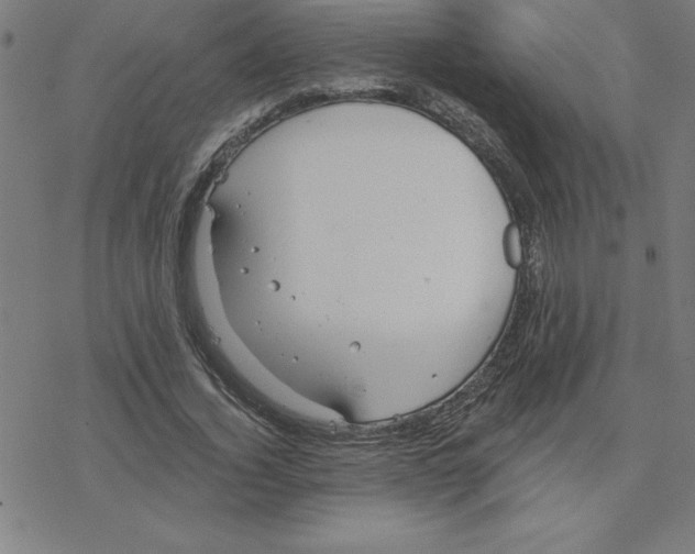 X0000078270732200612011719