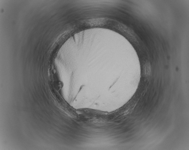 X0000078270733200612011719